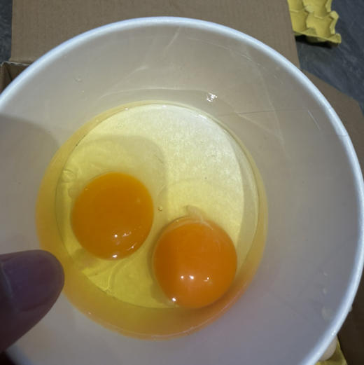 无抗黑鸡蛋 安徽 可生食60枚装/件 45/件 商品图1