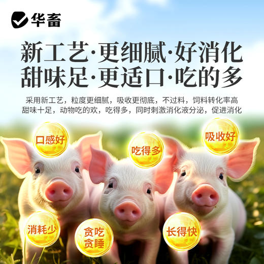 华畜 速长肽升级版 吃得多 消耗少 吸收好 长得快 体型好 更压秤 商品图10