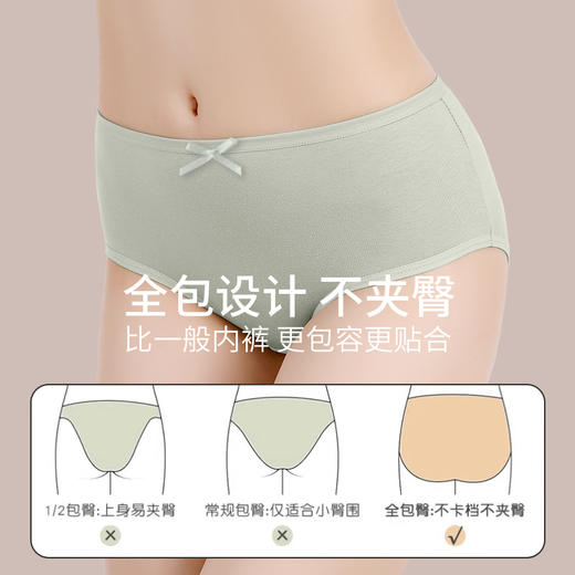 【特价49.9元10条】纯色蝴蝶结纯棉内裤 商品图4