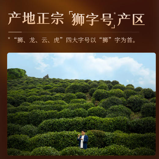 【新茶预售】艺福堂2026新茶西湖龙井125g/包 商品图2