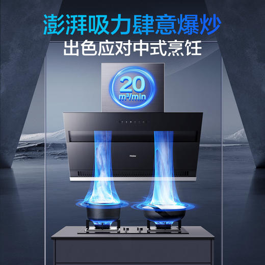 海尔（Haier）烟机 CXW-219-E900C6JS 商品图1