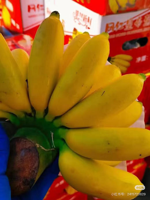 香蕉皇帝焦一箱4斤 商品图4