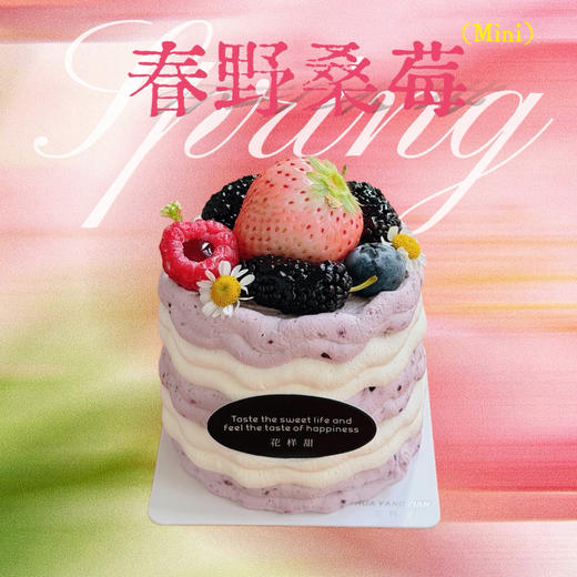 mini春野桑莓·巧克力小奶糕 商品图0
