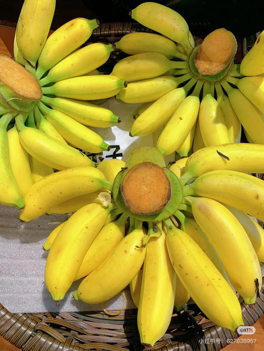 香蕉皇帝焦一箱4斤 商品图3