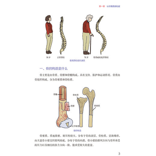 骨健康密码：骨质疏松性骨折的预防与康复 吴欣娟 张素秋 高远 主编 中华护理学会科普系列丛书 9787521459470 中国医药科技出版社 商品图4