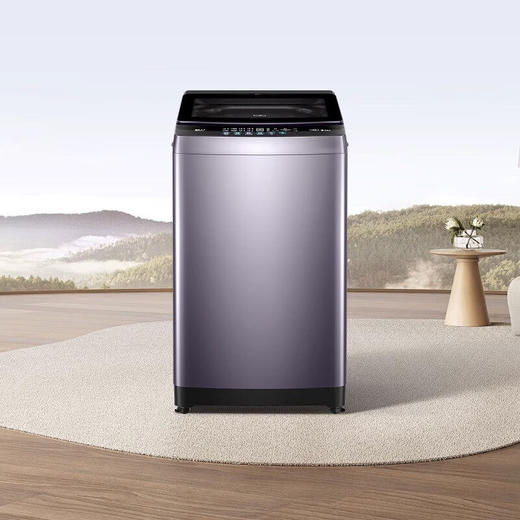 海尔XQB100-BZ629波轮洗衣机10公斤直驱变频旋瀑洗清新换风 商品图0