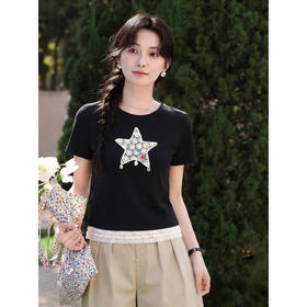 鹿向南「月光情诗」黑色短袖T恤女夏蕾丝拼接设计感时尚短款上衣