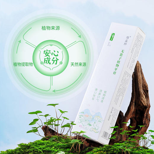 德益邦无患子植物牙膏 清新口气清洁护龈草本植物牙膏 商品图9