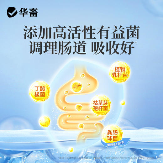 华畜 速长肽升级版 吃得多 消耗少 吸收好 长得快 体型好 更压秤 商品图3