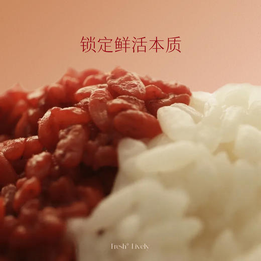 【春日序曲】「宋红原之味」500ml 8%vol原酿糯米酒独酌酒聚会酒庆功酒贺岁祝福送礼佳品 商品图2