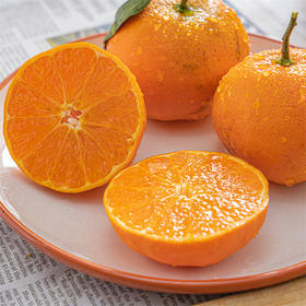 【明日见柑橘】脆嫩 甜度高