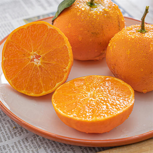 【明日见柑橘】脆嫩 甜度高 商品图0