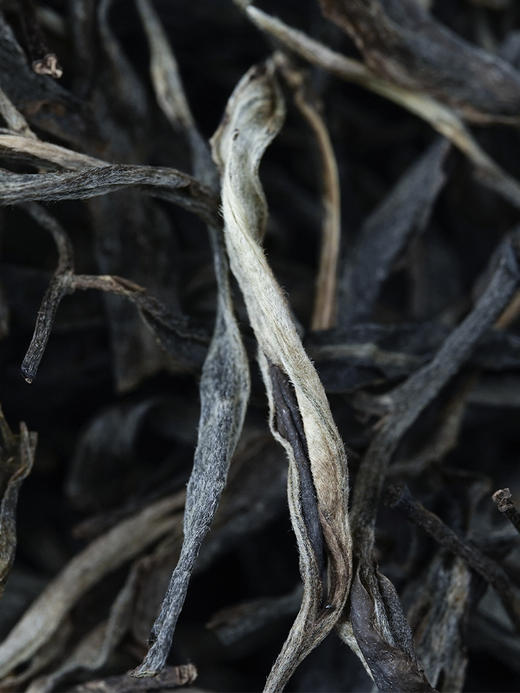 3月16日中午12点【百花潭散茶】2026年春茶预售易武茶区百花潭古树以百花之名绽放野冽韵味 原始野韵 弥足珍贵，500克/箱 商品图6