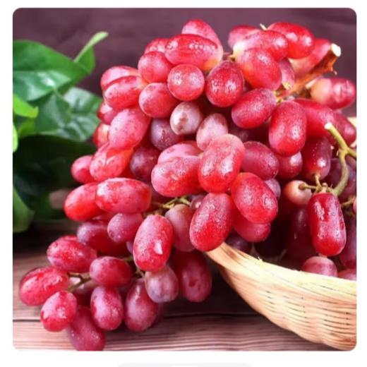 进口无籽红提（约500G） 份/份 商品图0