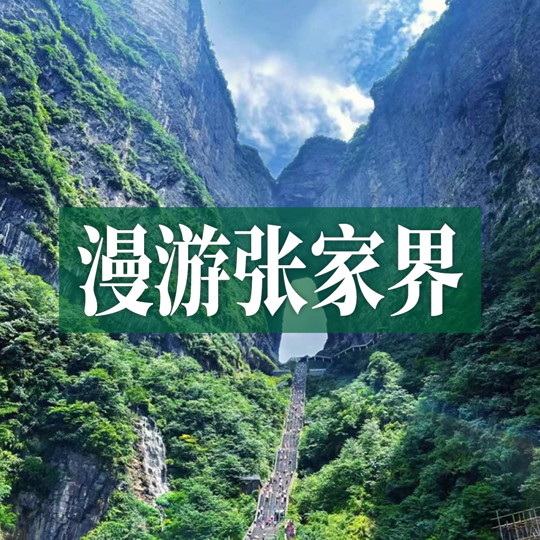 边玩边养老丨漫游张家界，探访奇山秀水，看鬼斧神工峰林奇观！