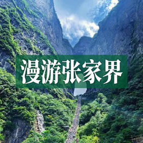 边玩边养老丨漫游张家界，探访奇山秀水，看鬼斧神工峰林奇观！