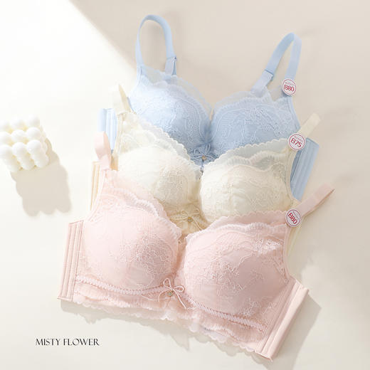 【商场同款】熳洁儿 26年新品小胸聚拢文胸中厚杯法式蕾丝26201538 商品图4