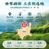 【2026新茶】茶马世家特级恩施玉露 山河志礼盒 200g 商品缩略图2