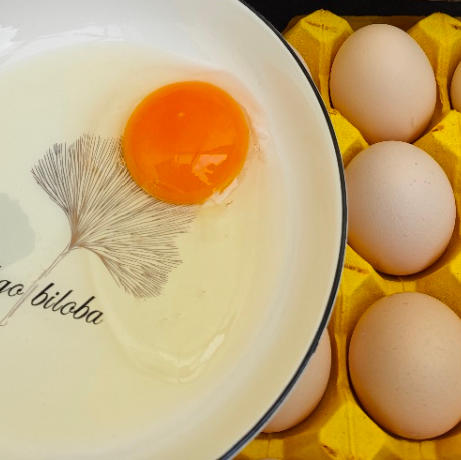 无抗黑鸡蛋 安徽 可生食60枚装/件 45/件 商品图0