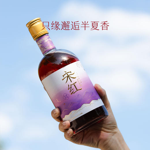 【春日序曲】「宋红2瓶礼袋装」玫瑰桑葚500ml 8%vol花果酒独酌酒聚会酒送礼酒庆功酒 商品图3