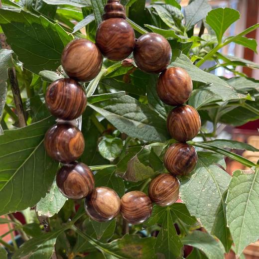 4500元/条海南黄花梨手串 商品图1