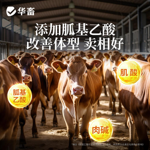 华畜 速长肽升级版 吃得多 消耗少 吸收好 长得快 体型好 更压秤 商品图5