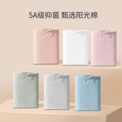 【特价49.9元10条】纯色蝴蝶结纯棉内裤 商品图3