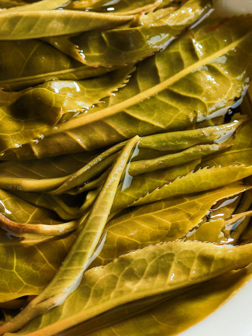 3月16日中午12点【百花潭散茶】2026年春茶预售易武茶区百花潭古树以百花之名绽放野冽韵味 原始野韵 弥足珍贵，500克/箱 商品图3