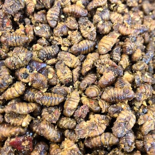 蝉蛹 约225克 商品图1