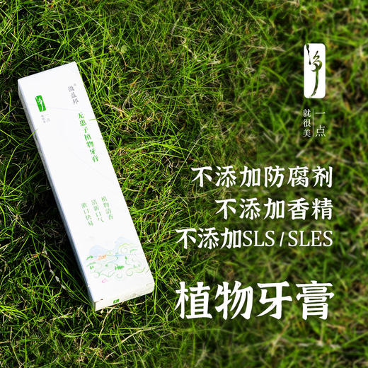 德益邦无患子植物牙膏 清新口气清洁护龈草本植物牙膏 商品图4
