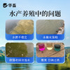 多肽肥水宝10kg 快速肥水增加溶氧改良水质提高成活减少病害 商品缩略图1