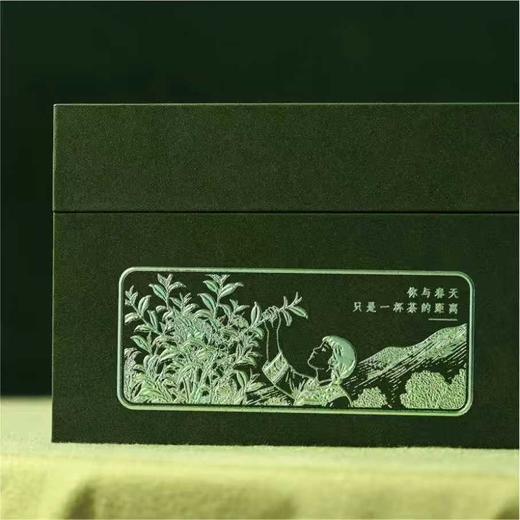 茶韵【流光绿.2听毛尖】35元1套.整箱16套 商品图2