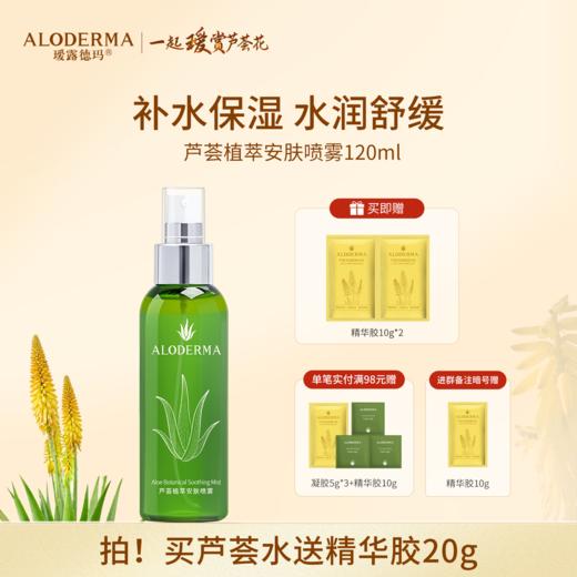 【买就送凝胶5g*2】瑷露德玛芦荟植萃安肤喷雾120ml 商品图0
