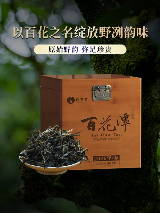 3月16日中午12点【百花潭散茶】2026年春茶预售易武茶区百花潭古树以百花之名绽放野冽韵味 原始野韵 弥足珍贵，500克/箱 商品图9