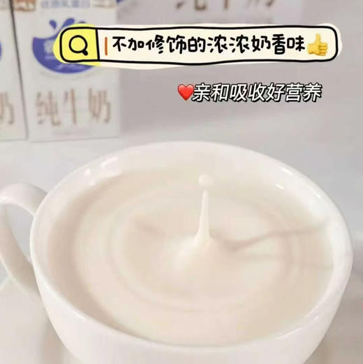 【疆疆纯纯牛奶】国民好牛奶首选疆疆纯#清真认证，加热有奶皮子的好牛奶规格：1提*10盒*200ml 商品图0
