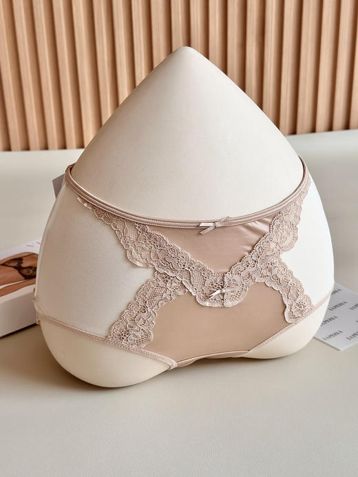 315-2 LA蕾丝与真丝的私密仪式感 女士内裤 商品图8