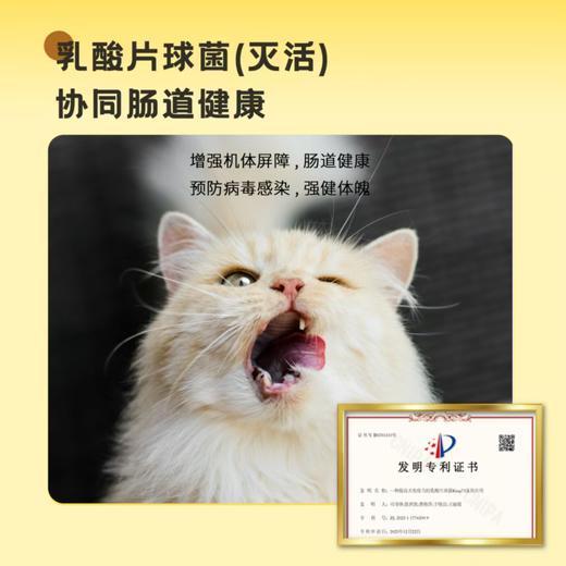 【新品试吃福利】中鲨宠物营养补充剂  5gx30袋/盒  排毛化毛 美毛护肤 营养倍护 肠道呵护  多功能 商品图6