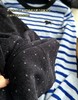 春款莱赛尔波点奶奶裤 商品缩略图12