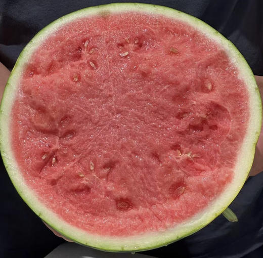 冰糖麒麟西瓜 商品图1