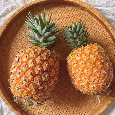海南大金砖凤梨    【切盒需要备注】 商品图0