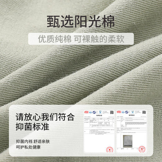 【特价49.9元10条】纯色蝴蝶结纯棉内裤 商品图5