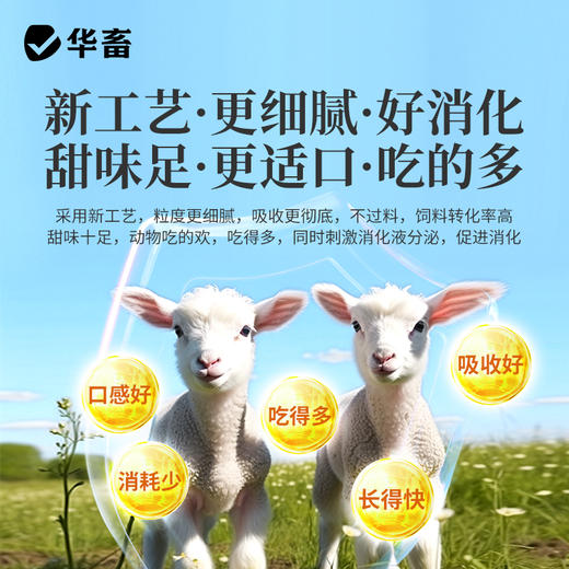 华畜 速长肽升级版 吃得多 消耗少 吸收好 长得快 体型好 更压秤 商品图2