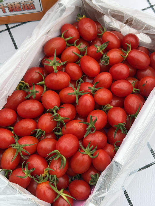 爆汁糖心小番茄 商品图0