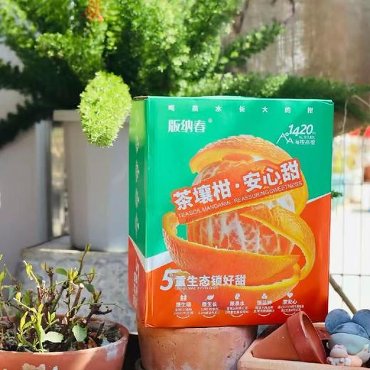 西双版纳无籽茶壤柑【限时折扣】 商品图1