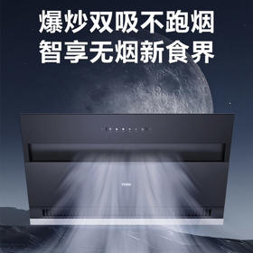海尔（Haier）烟机 CXW-219-E900C6JS