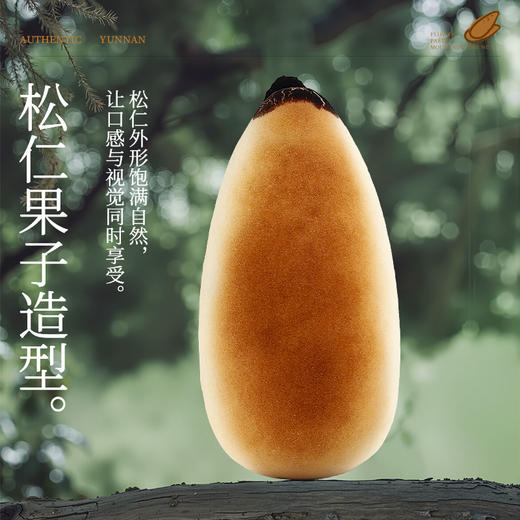 坚果满满大礼包 505g  嘉华鲜花饼 商品图8