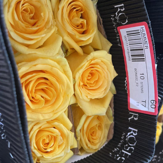 Hummer悍马 商品图0