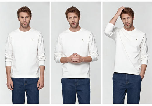 专柜同步H刺绣高支纯棉抗菌抗皱T恤 商品图1