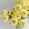 【AB级奶黄色洋桔梗】一扎约8-10朵/份 商品缩略图0