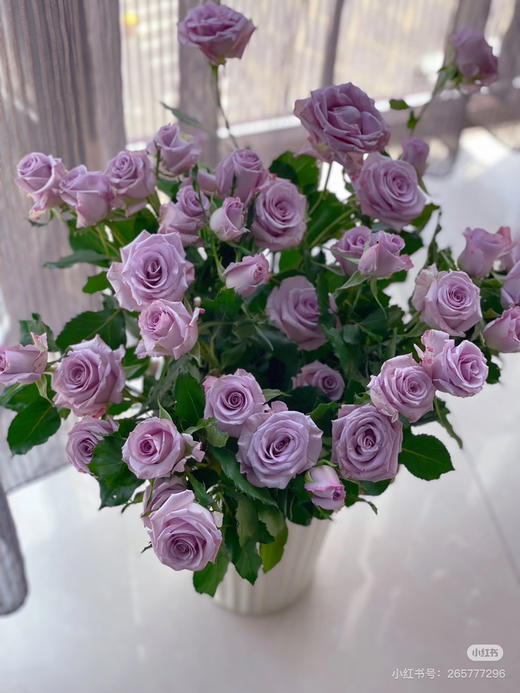【市场多头】九星蓝狐 浅紫色  10支/扎 商品图2